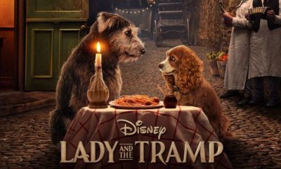 Zdjęcie okładkowe wpisu: Zakochany kundel- Przed wami zwiastun wersji live-action kultowej animacji!