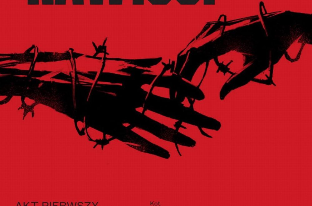Zdjęcie okładkowe wpisu: Październikowe premiery NonStop Comics