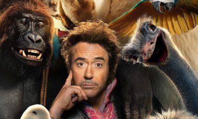 Zdjęcie okładkowe wpisu: Robert Downey Jr. rozmawia ze zwierzętami w pierwszym zwiastunie filmu Dolittle!