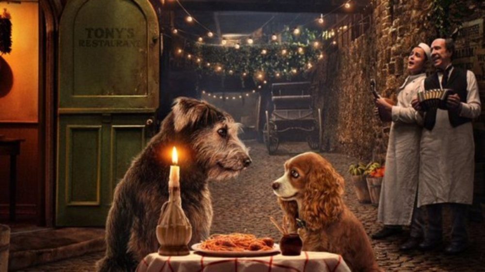 Zdjęcie okładkowe wpisu: Zakochany kundel – nowy zwiastun filmu live-action Disneya