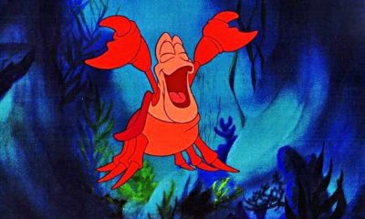 Zdjęcie okładkowe wpisu: Mała Syrenka – poznaliśmy odtwórcę roli Sebastiana?