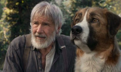 Zdjęcie okładkowe wpisu: Zew krwi – Harrison Ford i komputerowy pies w adaptacji powieści Jacka Londona!