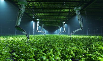 Zdjęcie okładkowe wpisu: Chaos V-Ray oraz Blender Cycles dołączają do grona aplikacji akcelerowanych przez karty graficzne RTX