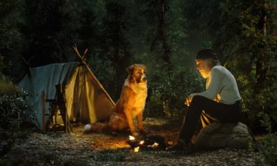 Zdjęcie okładkowe wpisu: Zew krwi – Recenzja. Fantastyczna emancypacja pewnego psa.