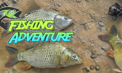 Zdjęcie okładkowe wpisu: Fishing Adventure oraz Otherworldly debiutują na Nintendo Switch