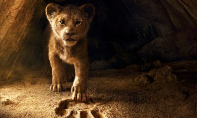 Zdjęcie okładkowe wpisu: Król Lew 2 w wersji live-action! Reżyser Moonlight za sterami!