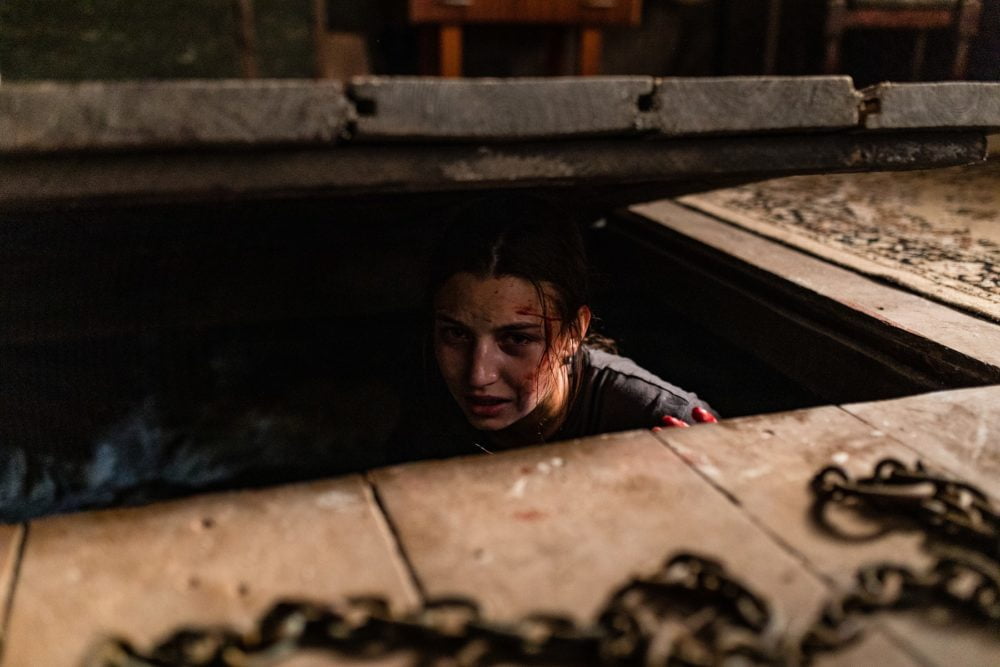 Zdjęcie okładkowe wpisu: W lesie dziś nie zaśnie nikt popularne na amerykańskim Netflixie!