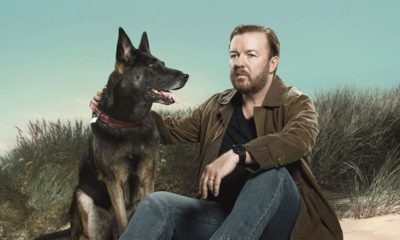 Zdjęcie okładkowe wpisu: After Life – recenzja 2. sezonu, czyli Tony powraca z klasą