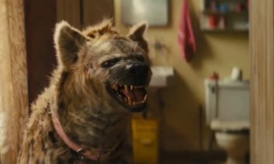 Zdjęcie okładkowe wpisu: Harley Quinn: Ptaki Nocy – oto, jak powstawała hiena Bruce!