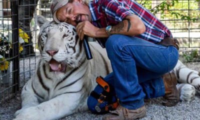 Zdjęcie okładkowe wpisu: Król tygrysów jest nagi. Trzy lata w egzotycznym królestwie Joe Exotica – już od środy w sprzedaży!