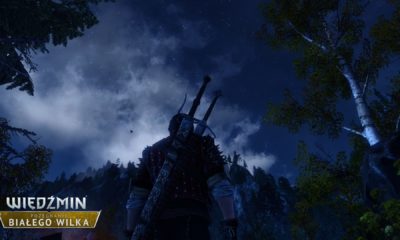 Zdjęcie okładkowe wpisu: Trzymaliśmy się ściśle zakończeń oferowanych przez książki i gry – wywiad z twórcami modu Pożegnanie Białego Wilka!