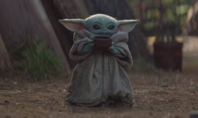 Zdjęcie okładkowe wpisu: Baby Yoda trafił do Google AR!