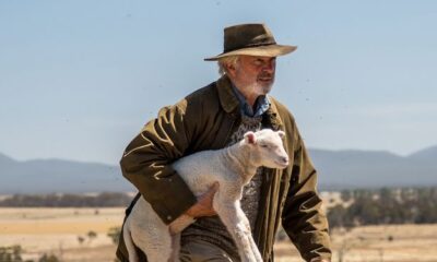 Zdjęcie okładkowe wpisu: Rams – Sam Neill zachęca do obejrzenia filmu