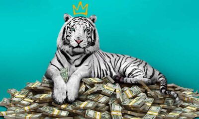 Zdjęcie okładkowe wpisu: Biały Tygrys – zwiastun nowego filmu Netflixa!