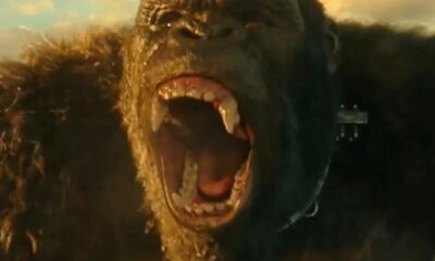 Zdjęcie okładkowe wpisu: Godzilla kontra Kong – pierwszy teaser filmu!