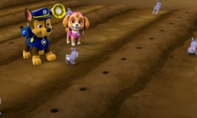 Zdjęcie okładkowe wpisu: TOP 10 – Co dziś obejrzeć na Netflix? Psi patrol zajął drugą pozycję!