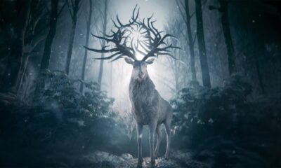 Zdjęcie okładkowe wpisu: Shadow & Bone – pierwsze spojrzenie na serial fantasy Netflixa!