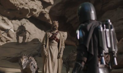 Zdjęcie okładkowe wpisu: Mark Hamill podziękował za otrzymaną szansę!