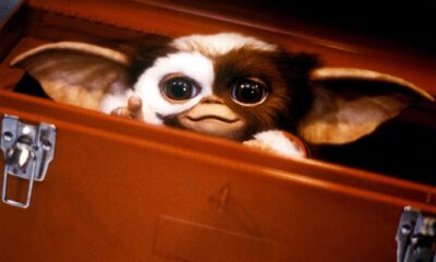 Zdjęcie okładkowe wpisu: Gremlins: Secrets of the Mogwai – HBO Max przedstawia obsadę!