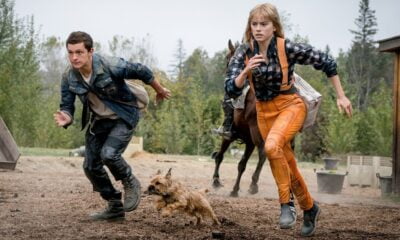 Zdjęcie okładkowe wpisu: Chaos Walking – garstka nowych plakatów filmu z Tomem Hollandem i Daisy Ridley