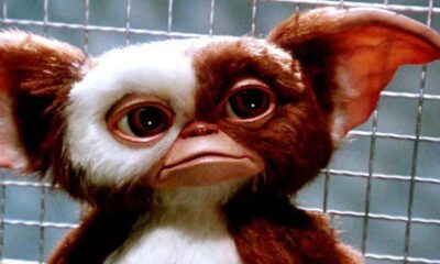 Zdjęcie okładkowe wpisu: Gremliny – Billy i Gizmo ponownie razem w reklamie!