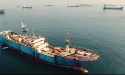 Zdjęcie okładkowe wpisu: Seaspiracy – zwiastun dokumentu Netflixa o przemyśle rybackim