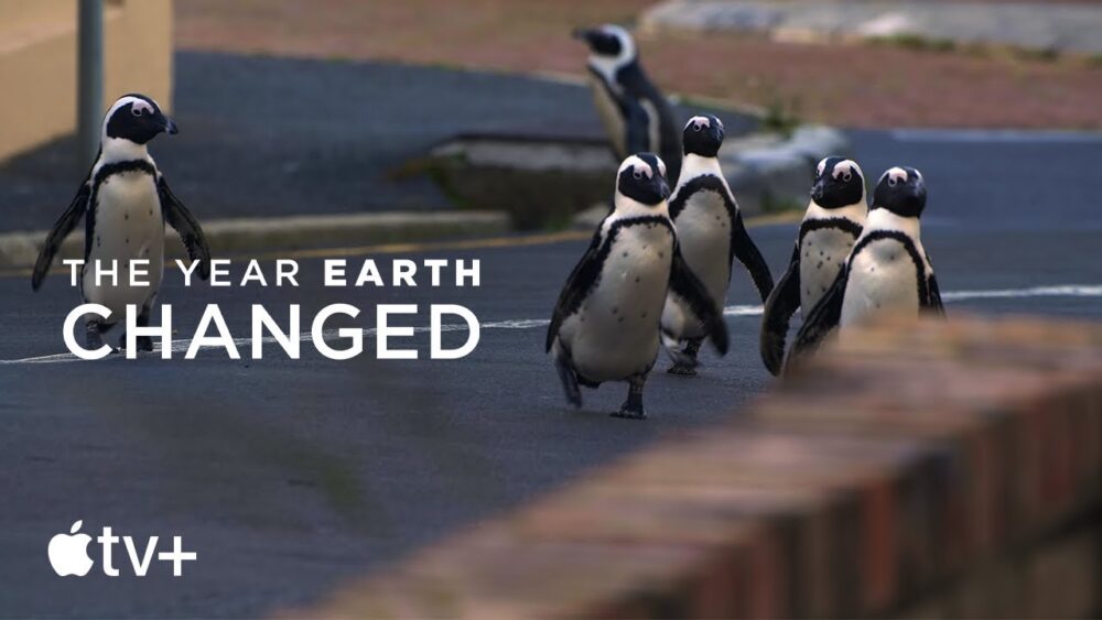 Zdjęcie okładkowe wpisu: The Year Earth Changed – zwiastun dokumentu Apple TV+