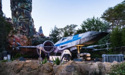 Zdjęcie okładkowe wpisu: Już niedługo Dzień Gwiezdnych Wojen!