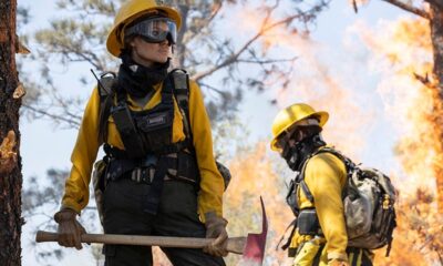 Zdjęcie okładkowe wpisu: Those Who Wish Me Dead – pierwszy zwiastun filmu z Angeliną Jolie!