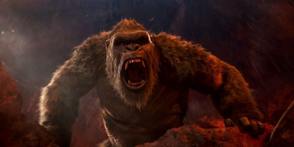 Zdjęcie okładkowe wpisu: Godzilla vs. Kong – powstanie sequel o synu Konga?
