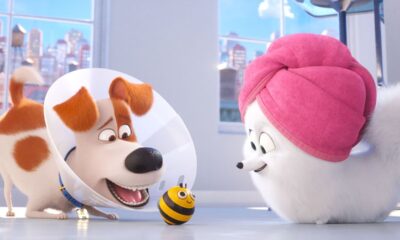 Zdjęcie okładkowe wpisu: TOP 10 – Co dziś obejrzeć na Netflix? Sekretne życie zwierzaków domowych 2 wchodzi do pierwszej trójki