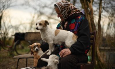 Zdjęcie okładkowe wpisu: Światowa premiera najnowszej produkcji Wajda Studio Bukolika w Locarno!