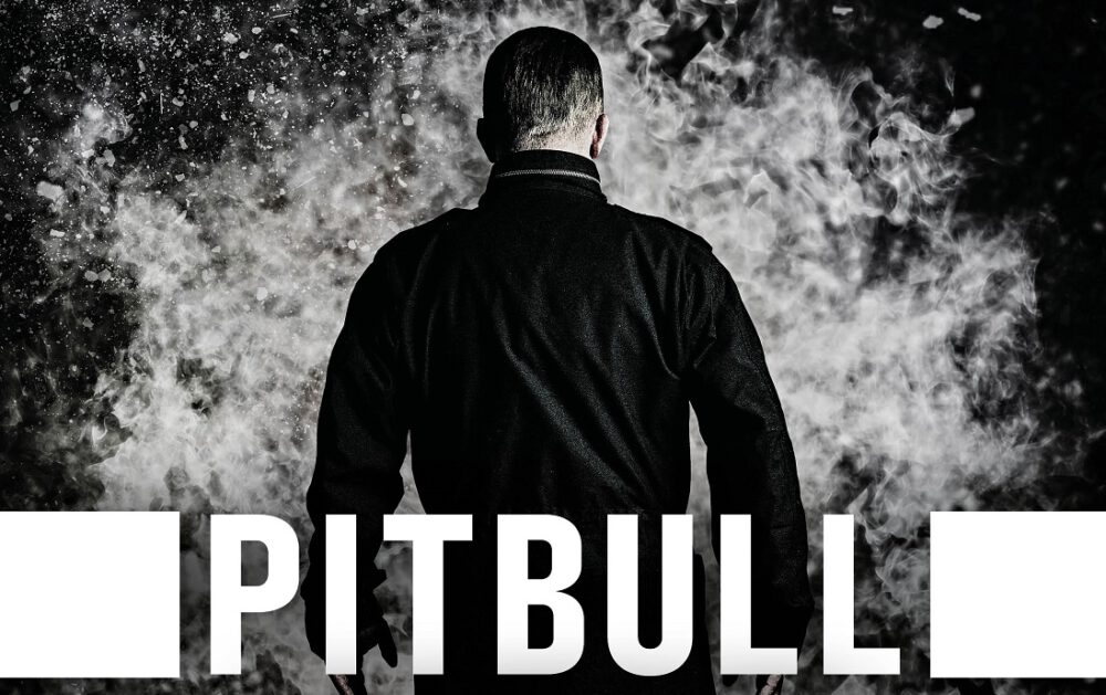 Zdjęcie okładkowe wpisu: Pitbull – ujawniono plakat, obsadę i opis fabuły filmu Patryka Vegi!