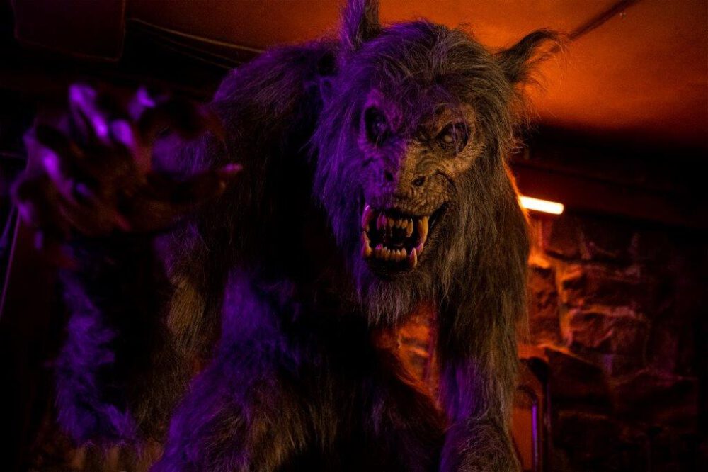 Zdjęcie okładkowe wpisu: Creepshow – edycja świąteczna już dziś z polską premierą na AMC