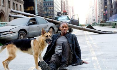 Zdjęcie okładkowe wpisu: Jestem legendą – powstanie sequel! Gwiazdami Will Smith oraz Michael B!