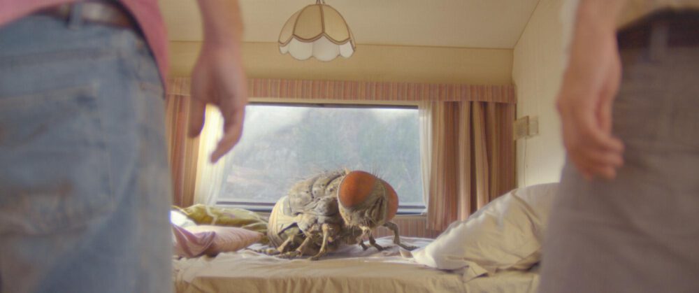 Zdjęcie okładkowe wpisu: Mandibules – recenzja filmu Quentina Dupieux | Splat!FilmFest online