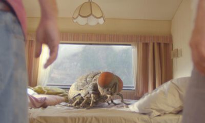 Zdjęcie okładkowe wpisu: Mandibules – recenzja filmu Quentina Dupieux | Splat!FilmFest online