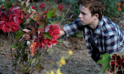 Zdjęcie okładkowe wpisu: Creepshow – już dziś na AMC polska premiera 3. sezonu