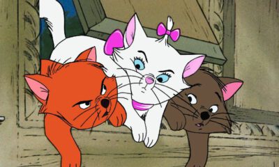 Zdjęcie okładkowe wpisu: Aryskotraci otrzymają swój remake Live action!