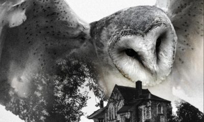 Zdjęcie okładkowe wpisu: Już w lutym Morderstwa w Suffolk Anthony’ego Horowitza!