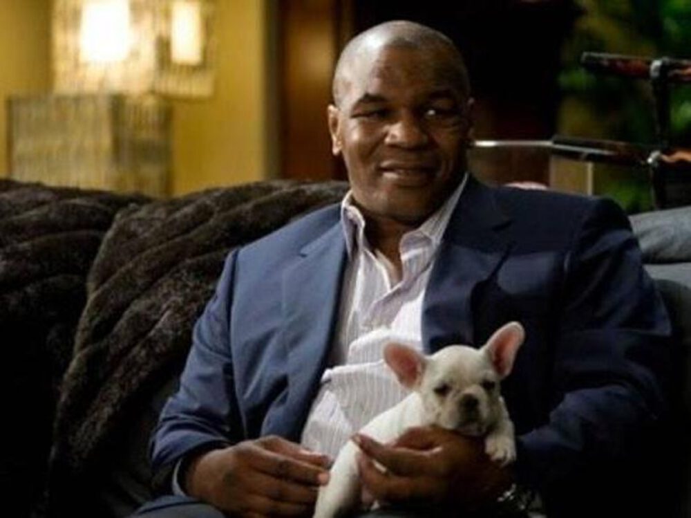 Zdjęcie okładkowe wpisu: Mike Tyson wystąpi w nowym filmie! Będzie o superbohaterach
