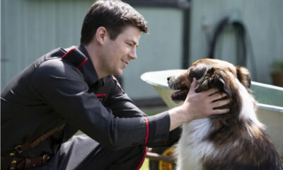 Zdjęcie okładkowe wpisu: Rescued By Ruby – Grant Gustin w filmie o psiej miłości!