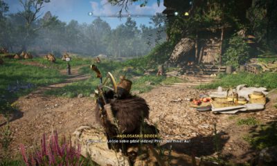 Assassin's Creed Valhalla