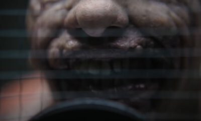 Zdjęcie okładkowe wpisu: Oto Barry Keoghan jako Joker! Jaka jest przyszłość złoczyńcy w uniwersum Batmana?