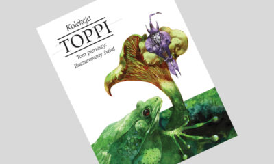 Zdjęcie okładkowe wpisu: Kolekcja Toppi tom 1: Zaczarowany świat – recenzja komiksu