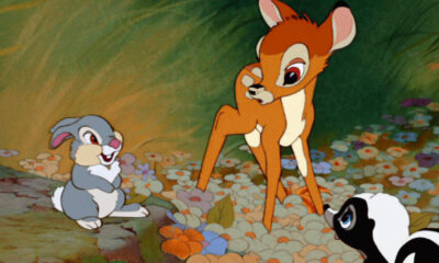 Zdjęcie okładkowe wpisu: Bambi otrzyma wersję live-action? Reżyserię negocjuje laureatka Oscara