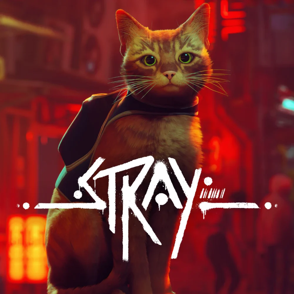 Stray – recenzja gry. Inteligentna bestia