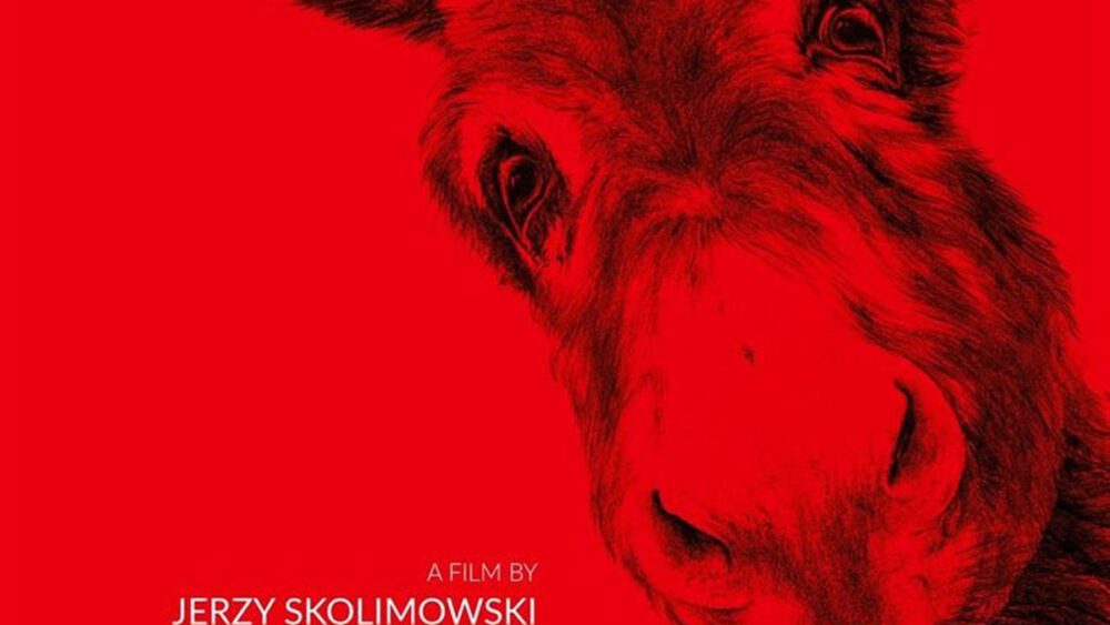 Zdjęcie okładkowe wpisu: IO Jerzego Skolimowskiego polskim kandydatem do Oscara!
