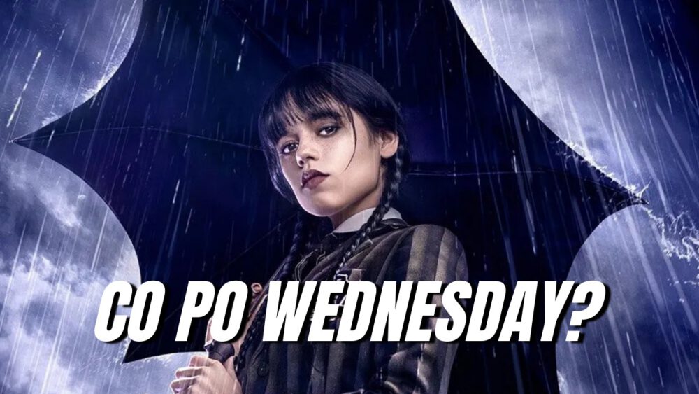 Zdjęcie okładkowe wpisu: Co obejrzeć po Wednesday?