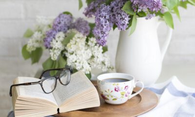 Zdjęcie okładkowe wpisu: Książki Remigiusza Mroza – seria o Chyłce